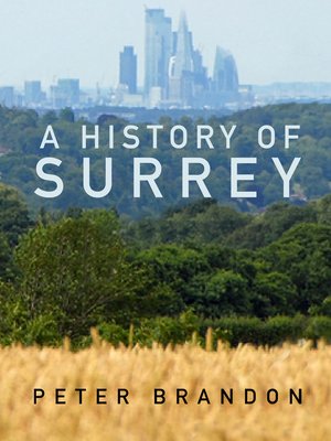 cover image of A History of Surrey